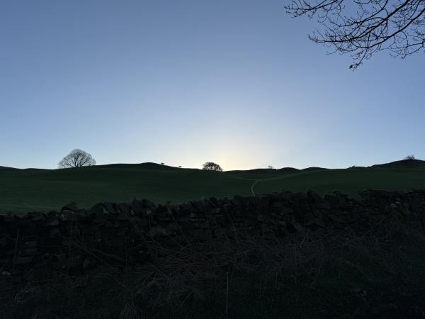 Sheep Silhouette - Benson Knott, Cumbria